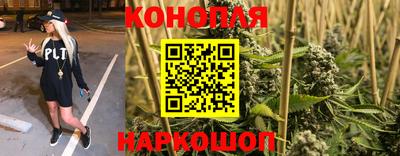 дмт Кизилюрт