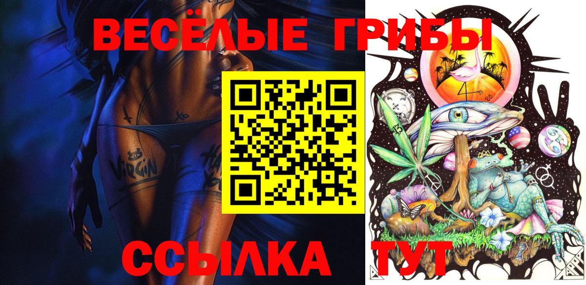 Дивногорск  Псилоцибиновые грибы GOLDEN TEACHER  Вход с VPN  Псилоцибиновые грибы GOLDEN TEACHER 